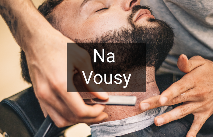 Vousy