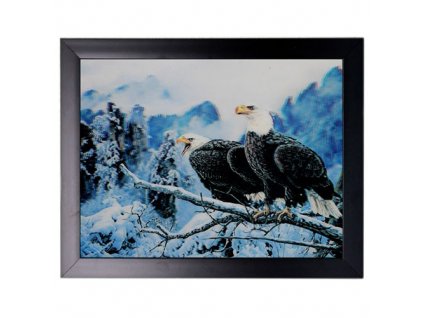 3D Obraz 34x44 cm Orli
