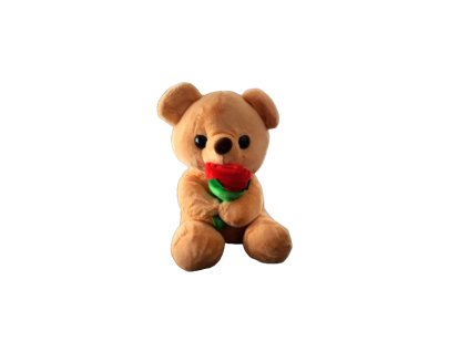 20220206 105058 removebg preview