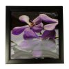 3D Obraz 30x30 cm Spa