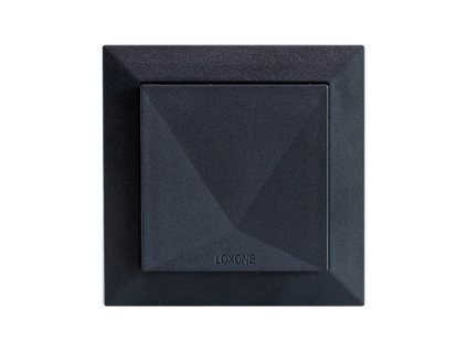 100277 Komfortni senzor Tree antracitova 1