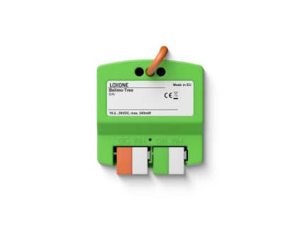 100519 Belimo Tree 1