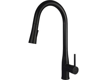 Kitchen faucet with pull-out spout