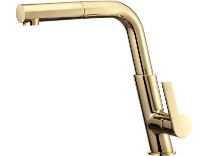 Kitchen faucet with pull-out spout