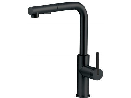 Kitchen faucet with pull-out spout