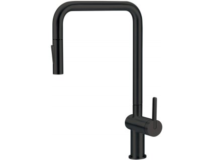 Kitchen faucet with pull-out spout