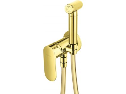 Concealed bidet mixer with bidetta shower head