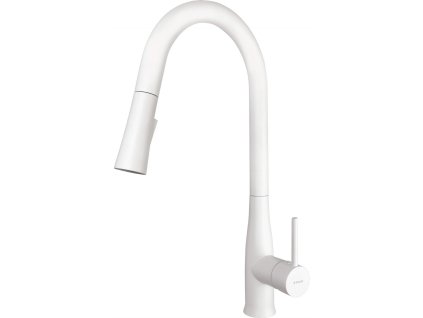 Kitchen faucet with pull-out spout