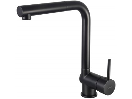 Kitchen faucet with pull-out spout