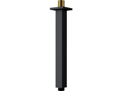 Ceiling shower spout - 250 mm