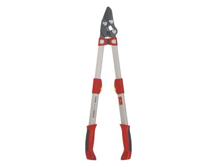 RR 900 T Power Cut Pruning Shears