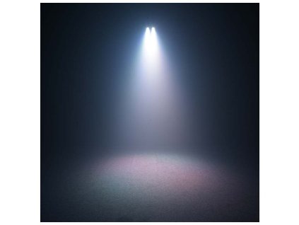 Disco effect LIGHT4ME TURBO FLOWER LED PAR UV ball