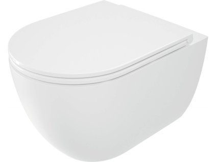 Rimless toilet