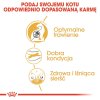 Q7C9m3p0g0b0b1c7e342n2Q0P0A9q9H9