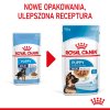 59A3M3l1z0c0x117p217o4D3H6w100E1