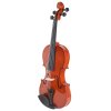 NN 3/4 VIOLIN FOR LEARNING TO PLAY set with case