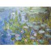 Lekníny Claude Monet obraz na zeď detail IDEAPRINTcz