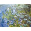 Lekníny Claude Monet IDEAPRINTcz