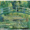 Rybník s lekníny Claude Monet obraz na zeď detail IDEAPRINTcz
