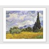 Pole s cypřiši 2 Vincent van Gogh IDEAPRINTcz