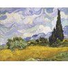 Pole s cypřiši Vincent van Gogh obraz na zeď detail IDEAPRINTcz