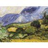 Pole s cypřiši Vincent van Gogh obraz na zeď detail2 IDEAPRINTcz