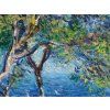 Bordighera Claude Monet obraz na zeď detail2 IDEAPRINTcz
