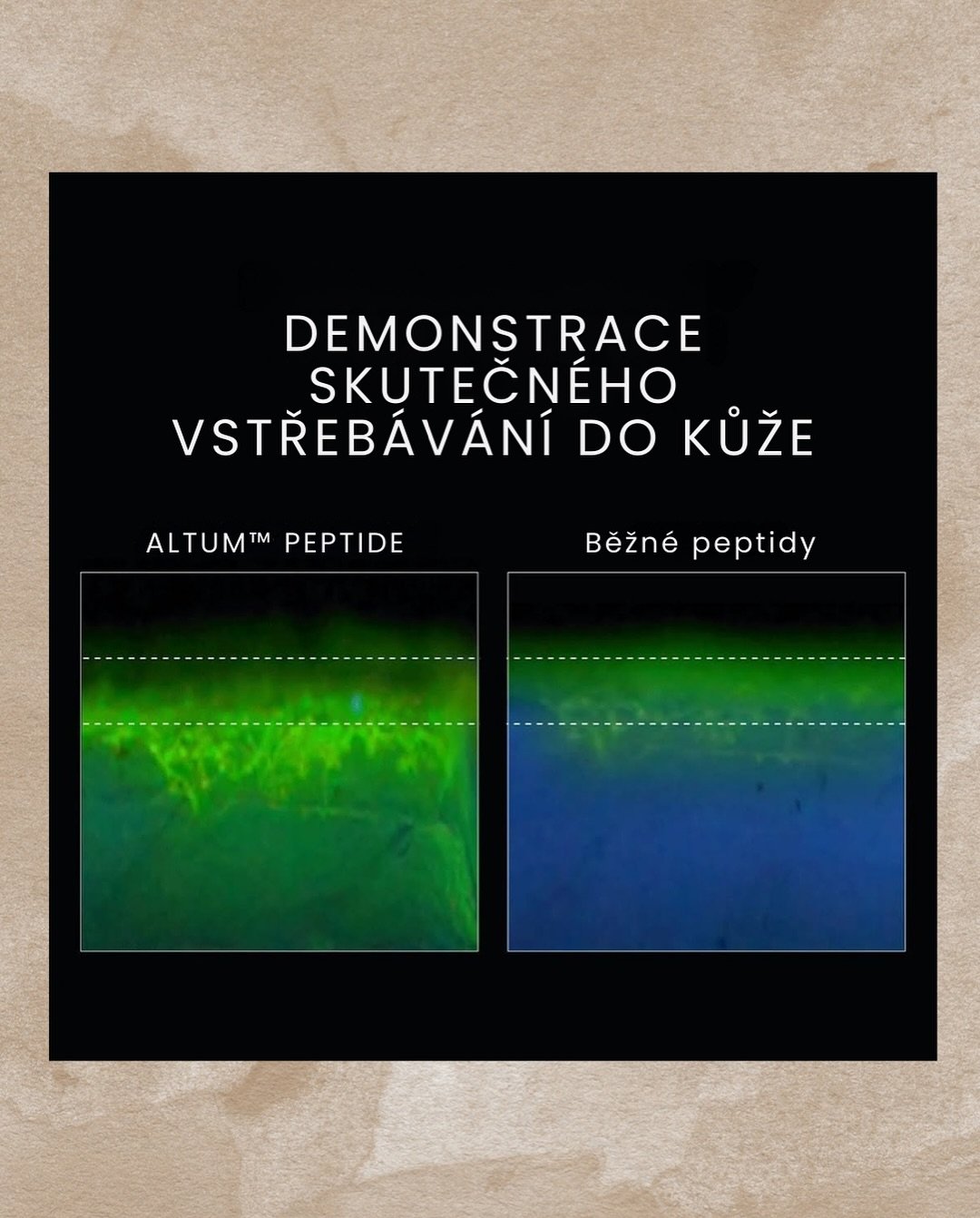 Pravda o absorpci účinných látek z kosmetiky