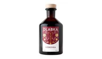 fd0d0d59d45230e5221e2b8fe5dd0f29 dlabka visnovka