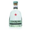 Caorunn Gin 41,8% 0,7l