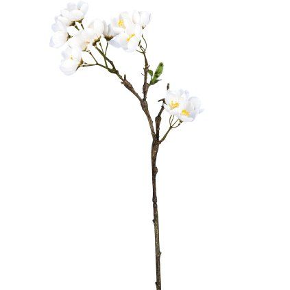 Větvička jabloně 60 cm, bílá