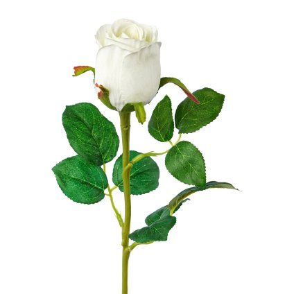 Růže 51 cm, bílá