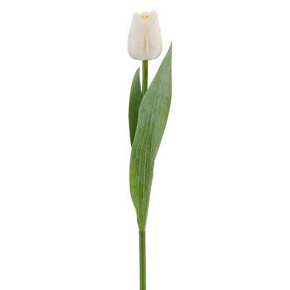 Tulipán x1 35 cm, bílá
