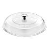 0073889 poklice staub 20 cm