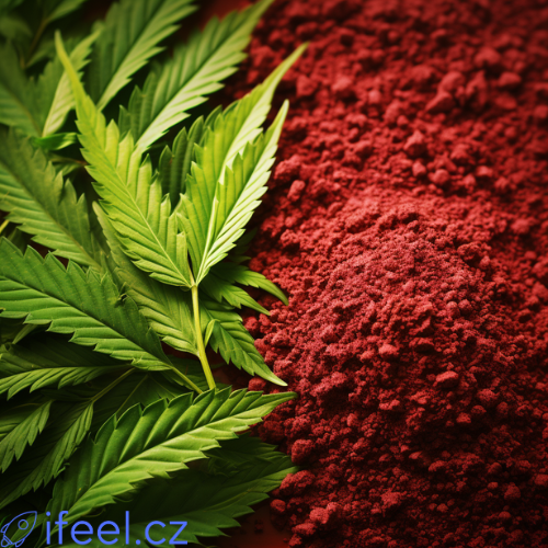 Zákaz kratomu a HHC jejich aktuální legislativa