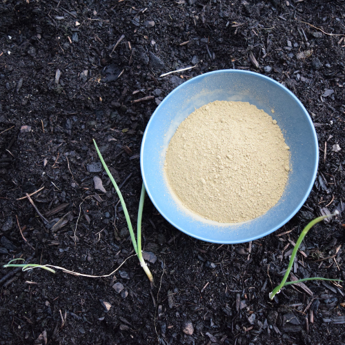 Co to je Kratom?
