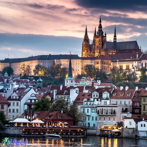 Kratom Praha: prozkoumejte svět kratomu ve víru velkoměsta