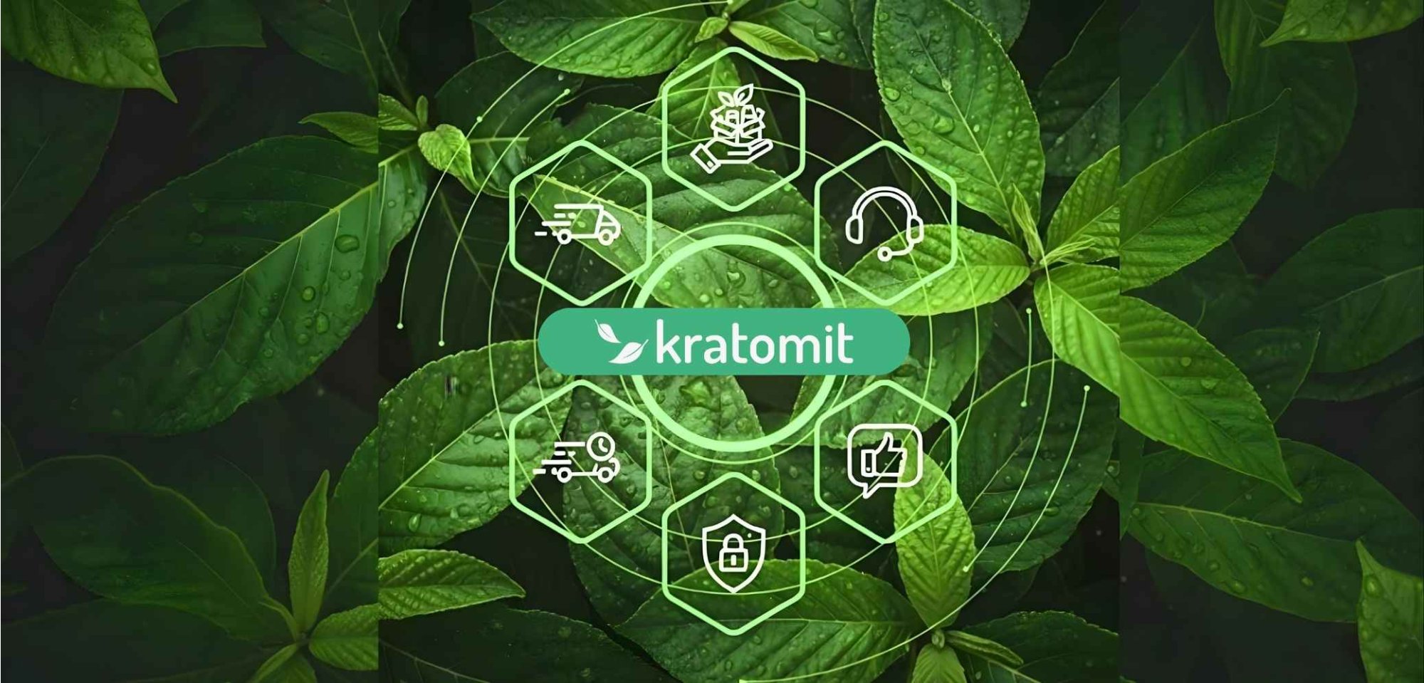 Proč si objednat na eshopu Kratomit?