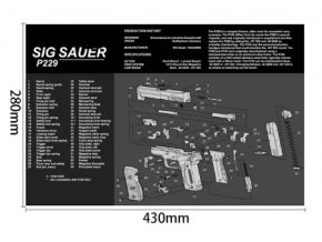 sig sauer p229