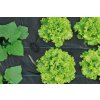 Agrotextilie Černá 70 g/m2  - 0,6 x 1 m
