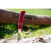 Kapesní nůž Victorinox FORESTER červený  Victorinox