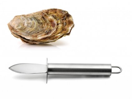 53981 17243 01 austern parmesanbrecher aus edelstahl karl weis
