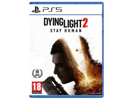 iguru sk dying light 2