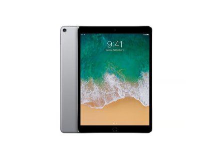 ipad 10 pro igurusk space gray
