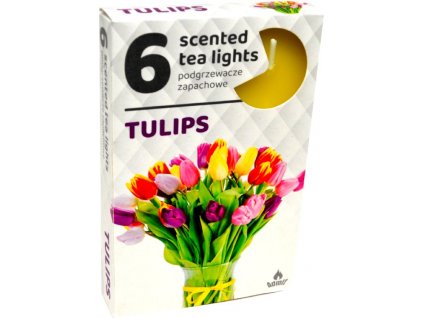 tulips 1 1