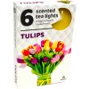 tulips 1 1