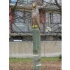 Šplhací totem z akátu orel 2