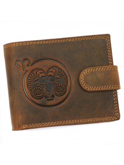 Pánská kožená peněženka Wild L895-003 varianta 19 hnědá