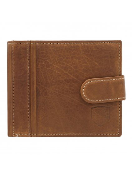 2 ptn n008l pca brn 0