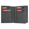 Pánská kožená peněženka Pierre Cardin TILAK28 331 RFID černá
